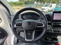 Daumennagel 20 - Peugeot E-Boxer Kasten L3H2 Digital/ACC/110KwH/Keyless