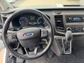 Daumennagel 11 - Ford Transit Custom Kasten L1 Standheizung/AHK/PDC