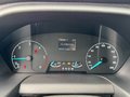 Daumennagel 12 - Ford Transit Custom Kasten L1 Standheizung/AHK/PDC