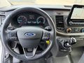 Daumennagel 11 - Ford Transit Kasten 320 L1 Trend/Kamera/AHK/Navi