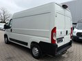 Daumennagel 3 - Peugeot Boxer Kasten Hochraum L2H2 Premium/AHK/Kamera+