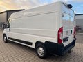 Daumennagel 3 - Peugeot Boxer Kasten Hoch 335 L3H2 Premium/AHK/Kamera