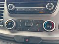 Daumennagel 13 - Ford Transit Custom Kasten L2H2/Kamera/Standheizung2x