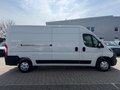 Daumennagel 6 - Peugeot Boxer Kasten Hochraum L3H2 Premium/AHK/Kamera+