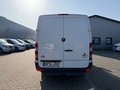 Daumennagel 4 - Mercedes-Benz Sprinter 316 Camper/EcoFlow/Schwingsitz/Solar