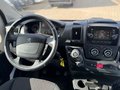 Daumennagel 9 - Peugeot Boxer Kasten 335 L2H2/Tot-Wink./Tempomat/Webasto
