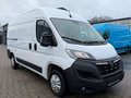 Daumennagel 3 - Opel Movano Kasten L2H2 3,5t/Kamera/Standheizung/Tot+