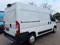 Daumennagel 7 - Opel Movano Kasten L2H2 3,5t/Kamera/Standheizung/Tot+