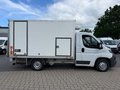 Daumennagel 7 - Fiat Ducato 2.3 150 /Kühler/Kamera/Ladebordwand