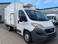 Daumennagel 8 - Fiat Ducato 2.3 150 /Kühler/Kamera/Ladebordwand