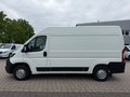 Daumennagel 2 - Peugeot Boxer Kasten Hoch 333 L2H2 Premium/AHK/Kamera