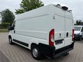 Daumennagel 3 - Peugeot Boxer Kasten Hoch 333 L2H2 Premium/AHK/Kamera