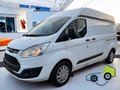 Daumennagel 1 - Ford Transit Custom Kasten L2H2 Standheizung/PDC/AHK
