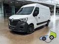 Daumennagel 1 - Renault Master III Kasten L2H2 Kamera/Standheizung/Tot