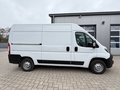 Daumennagel 2 - Peugeot Boxer Kasten Hochraum 335 L2H2 Premium/Kamera+