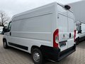 Daumennagel 3 - Peugeot Boxer Kasten Hochraum 335 L2H2 Premium/Kamera+