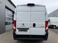 Daumennagel 4 - Peugeot Boxer Kasten Hochraum 335 L2H2 Premium/Kamera+