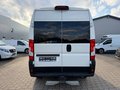 Daumennagel 4 - Peugeot Boxer Kasten 333 L1H2 Standheizung/Kamera/AHK