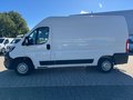 Daumennagel 2 - Peugeot Boxer 2.2 HDI Kasten 333 L2H2 Premium/Kamera+