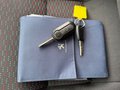 Daumennagel 18 - Peugeot Boxer Kasten 335 L2H2 Premium/Kamera/Tempomat+