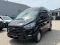 Daumennagel 1 - Ford Transit Custom Kasten 300 L2 Trend/Kamera/AHK/