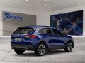Daumennagel 2 - Ford Kuga 1.5 EcoBlue Titanium Start/Stopp (EURO 6d-T