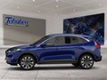 Daumennagel 3 - Ford Kuga 1.5 EcoBlue Titanium Start/Stopp (EURO 6d-T