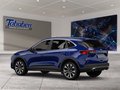 Daumennagel 4 - Ford Kuga 1.5 EcoBlue Titanium Start/Stopp (EURO 6d-T