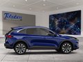 Daumennagel 6 - Ford Kuga 1.5 EcoBlue Titanium Start/Stopp (EURO 6d-T