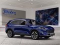 Daumennagel 7 - Ford Kuga 1.5 EcoBlue Titanium Start/Stopp (EURO 6d-T