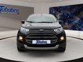 Daumennagel 2 - Ford EcoSport 1.0 EcoBoost Titanium
