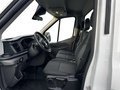 Daumennagel 7 - Ford Transit 350L4 Trend Koffer