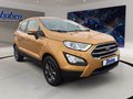 Daumennagel 2 - Ford EcoSport 1.0 EcoBoost Cool&amp;Connect WiPA/ALU/1.Hd