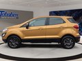 Daumennagel 8 - Ford EcoSport 1.0 EcoBoost Cool&amp;Connect WiPA/ALU/1.Hd