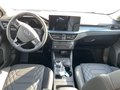 Daumennagel 11 - Ford Focus 1.5 EcoBlue Active X PANO/LEDER/WIPA