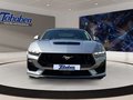 Daumennagel 2 - Ford Mustang GT Cabriolet 5.0 V8/ Tageszulassung / So