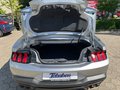 Daumennagel 21 - Ford Mustang GT Cabriolet 5.0 V8/ Tageszulassung / So