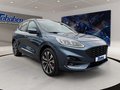 Daumennagel 3 - Ford Kuga 2.5 PHEV ST-Line X PANO*NAVI*4xSHZ*TWA