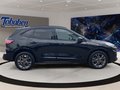 Daumennagel 4 - Ford Kuga 1.5 ST-Line X / Head-Up / Pano / B&O / Keyf
