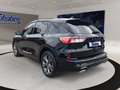 Daumennagel 7 - Ford Kuga 1.5 ST-Line X / Head-Up / Pano / B&O / Keyf
