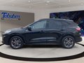 Daumennagel 8 - Ford Kuga 1.5 ST-Line X / Head-Up / Pano / B&O / Keyf