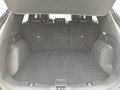 Daumennagel 17 - Ford Kuga 1.5 ST-Line X / Head-Up / Pano / B&O / Keyf