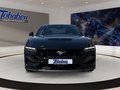 Daumennagel 2 - Ford Mustang GT Fastback