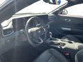 Daumennagel 10 - Ford Mustang GT Fastback