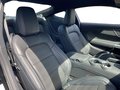 Daumennagel 13 - Ford Mustang GT Fastback