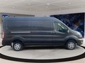 Daumennagel 4 - Ford Transit 77kWh 350L3H2 77kWh 350L3H2 135kW Heck T