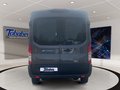 Daumennagel 6 - Ford Transit 77kWh 350L3H2 77kWh 350L3H2 135kW Heck T