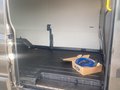 Daumennagel 15 - Ford Transit 77kWh 350L3H2 77kWh 350L3H2 135kW Heck T