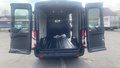 Daumennagel 30 - Ford Transit 77kWh 350L3H2 77kWh 350L3H2 135kW Heck T