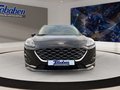 Daumennagel 2 - Ford Kuga 2.5 Duratec Plug-in-Hybrid PHEV Vignale